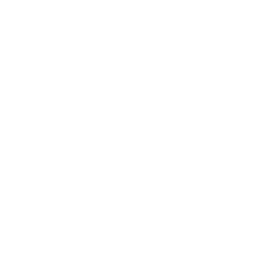 ce logo Eagan