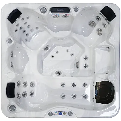 Avalon EC-849L hot tubs for sale in Eagan
