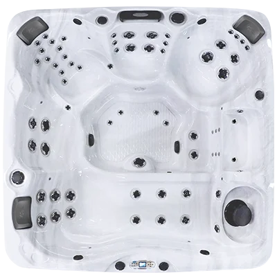 Avalon EC-867L hot tubs for sale in Eagan