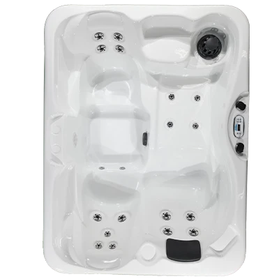 Kona PZ-519L hot tubs for sale in Eagan