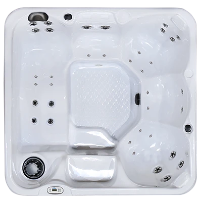 Hawaiian PZ-636L hot tubs for sale in Eagan